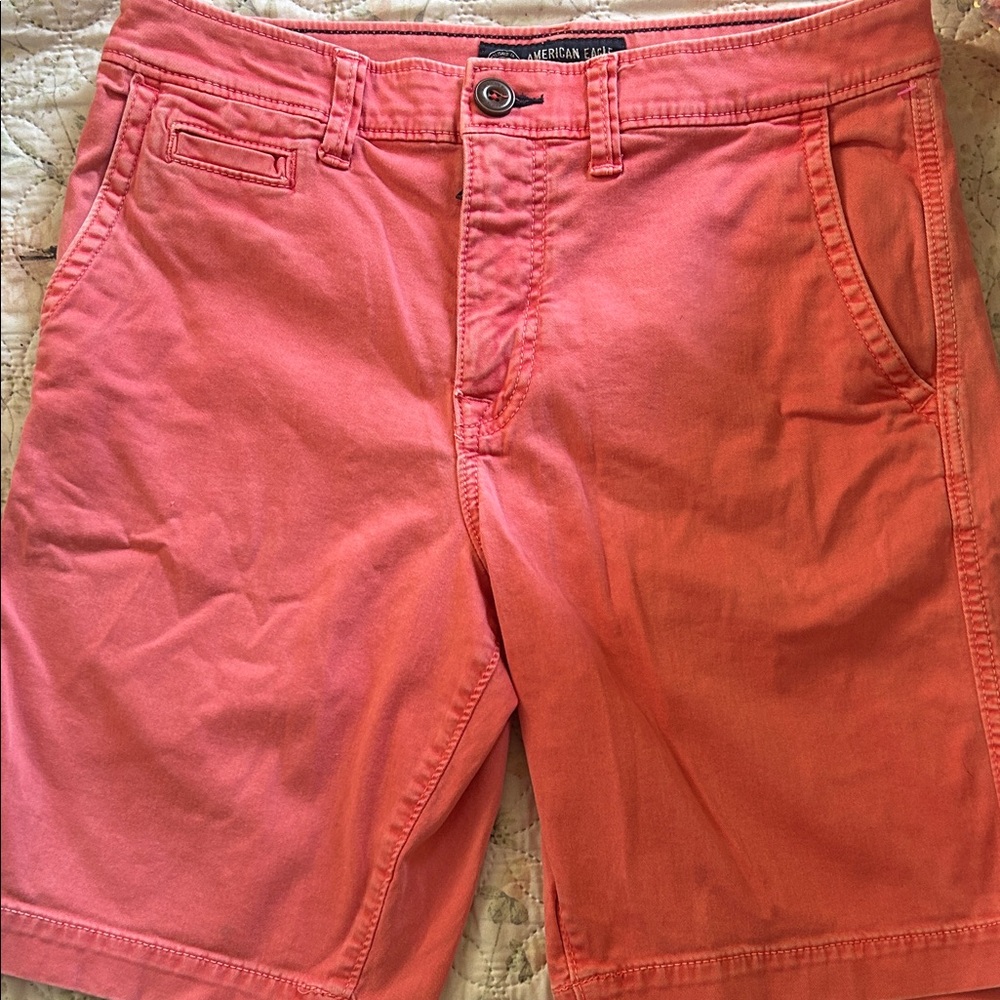 American Eagle Outfitters Men's Pink Flat Front Shorts